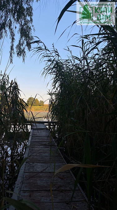 Терміново продам дачу. Кропивницький - фото 8