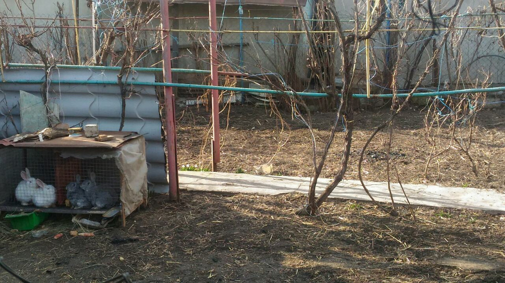 Продаж земельної ділянки 0.1 соток на ул. Набережная, 6 Dobrooleksandrivka - photo 19