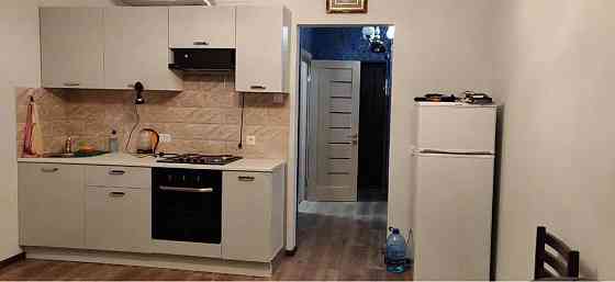 Оренда Квартира 1-кімнатна, 1/24 поверх Київ