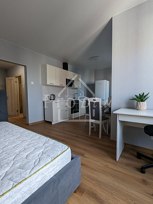 Оренда Квартира 1-кімнатна, 23/25 поверх на Юлії Здановської вул. (Михайла Ломоносова), 38Г Kiev - photo 5