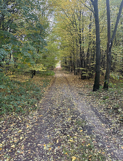 Продаж земельної ділянки 10 соток на Зарічани Zhytomyr - photo 2