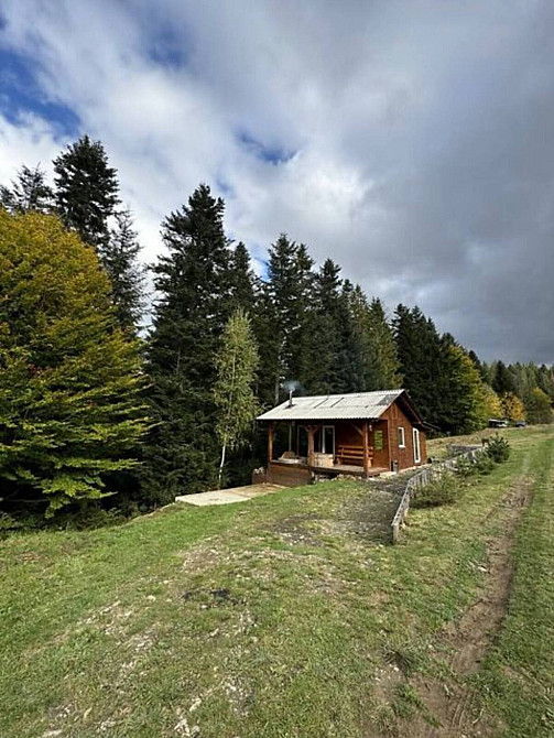 Продаж земельної ділянки 53.33 соток  - photo 1