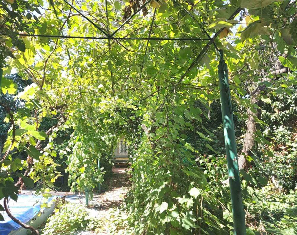 Дача с бассейном и камином, 13 ст. Фонтана, 3.2 сотки, госакт Одеса - фото 4