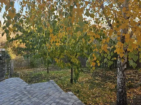 Продажа 1-этажный   68 кв.м 3 комн. на Пархоменка провулок 2 Кропивницкий - изображение 15