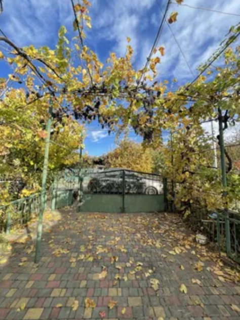 Продаж Будинок 3-кімнатний на ул. Торгова, 4 Pershotravneve (Izmailskyi raion) - photo 12