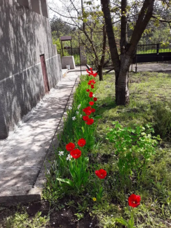 Дом в Калиновке Калинівка (Іванівський район)