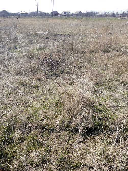 Продаж земельної ділянки 0.1 соток на ул. Мицкевича, 51 Протопопівка - фото 3