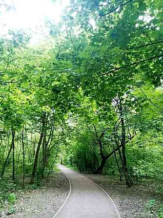 Оренда Квартира 1-кімнатна, 6/10 поверх на Святошинський провулок, 2 Київ