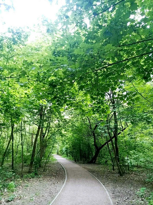 Оренда Квартира 1-кімнатна, 6/10 поверх на Святошинський провулок, 2 Київ - фото 6