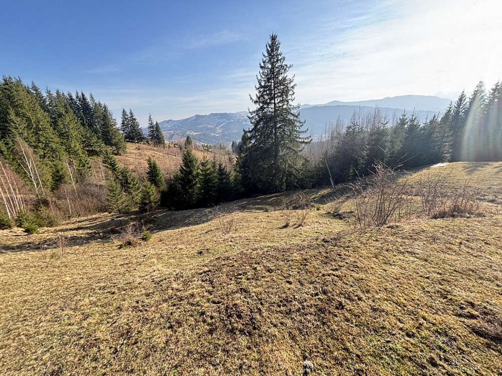 Продаж земельної ділянки 31 соток Verkhovyna - photo 11