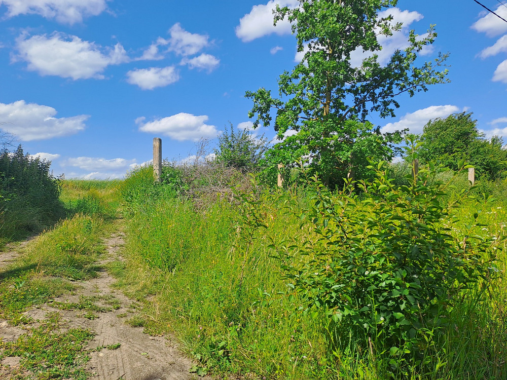 Продаж земельної ділянки 11 соток Pidhorodne - photo 7