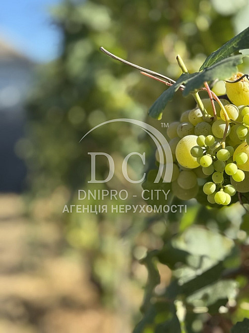 Продаж Будинок на вул. Маріупольська Dnipro - photo 12