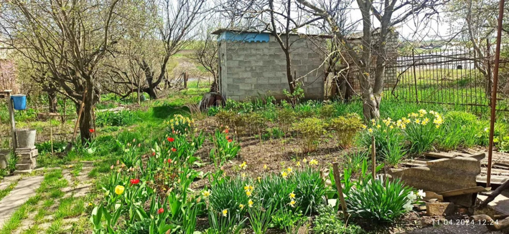 Продам будинок у с. Н.Павлівка. Кропивницький - фото 9