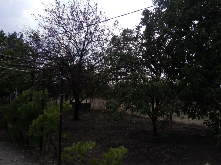 Продам дачу на берегу Хаджибеевского лимана (р-н с.Палиево) Єгорівка - фото 7