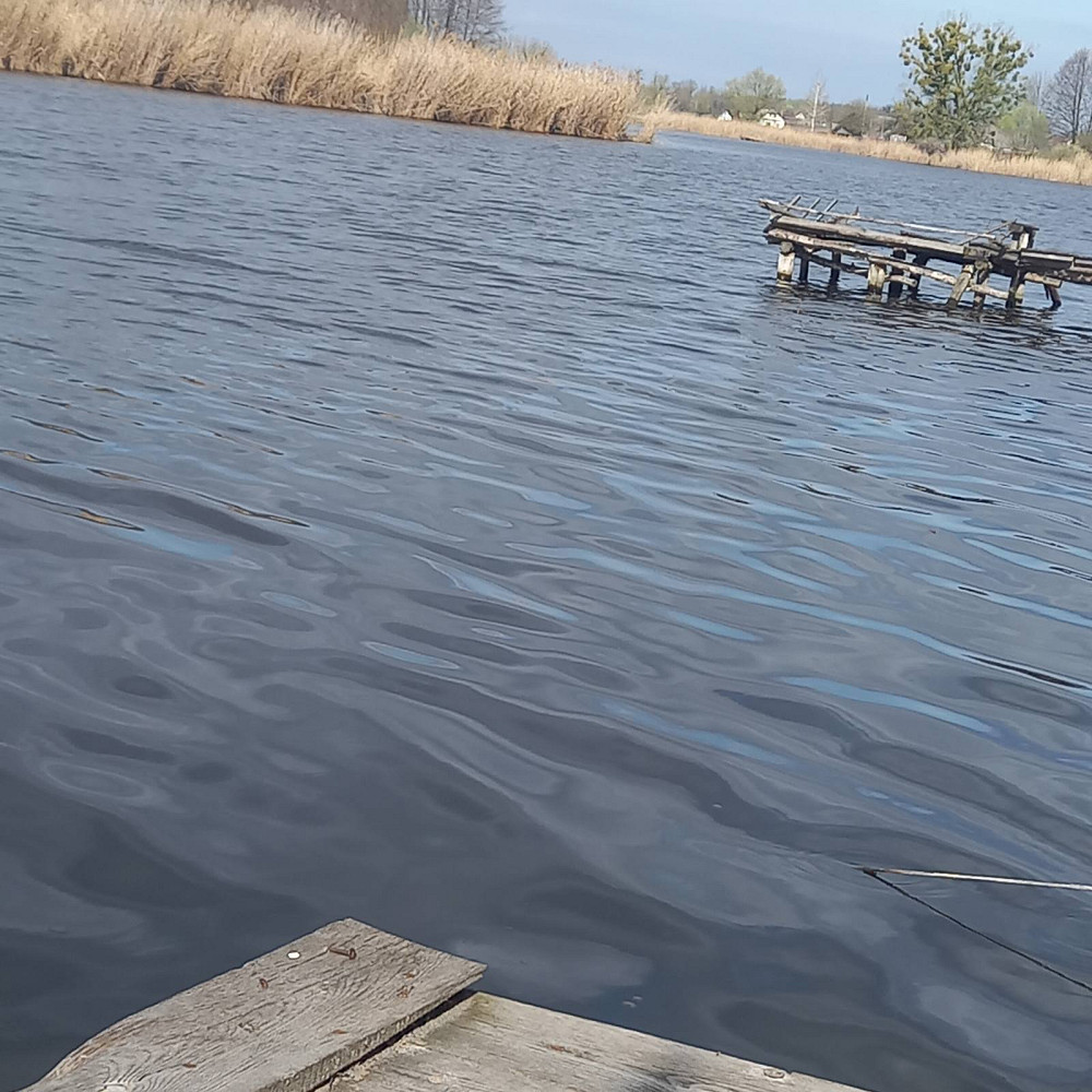 Продаж земельної ділянки 15 соток на Шевченка  - photo 5