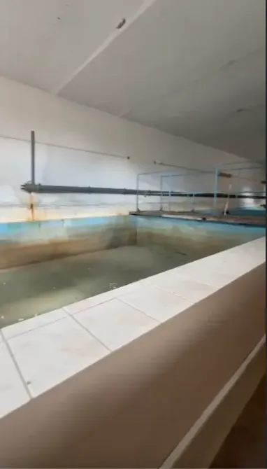 Продаж Окрема будівля / частина будівлі площа 2000 кв.м 1-й поверх на Н03, 50 Старокостянтинів - фото 14