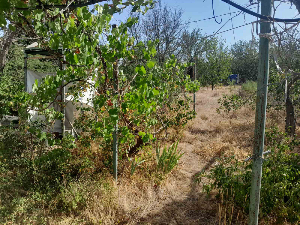 Продам дачу в с.Христиновка возле Хаджибеевского лимана Єгорівка - фото 7