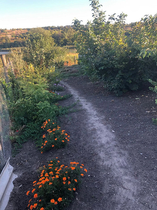 Продається будинок із садом та виходом до річки Високі Байраки - фото 8