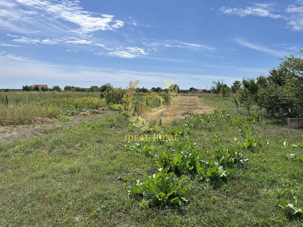 Продам будинок Плесецьке Фастівський район  - фото 20
