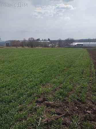 Продаж Будинок на вул. Садова Hrabovets