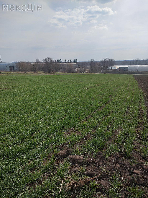 Продаж Будинок на вул. Садова Hrabovets - photo 6