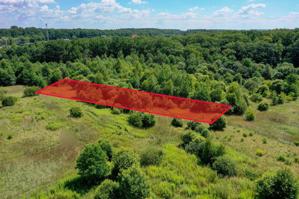 Продаж земельної ділянки 16 соток на вул. Кільцева Пасіки-Зубрицькі - фото 2