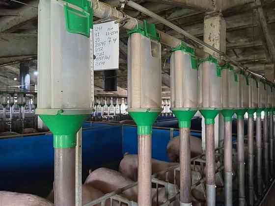 Продаж виробниче приміщення приміщень - 1, поверх - 1/1 Винница