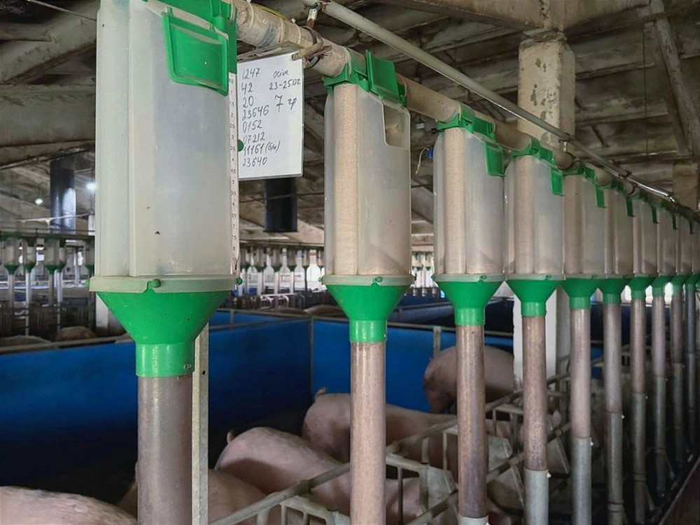 Продаж виробниче приміщення приміщень - 1, поверх - 1/1 Vinnytsya - photo 4