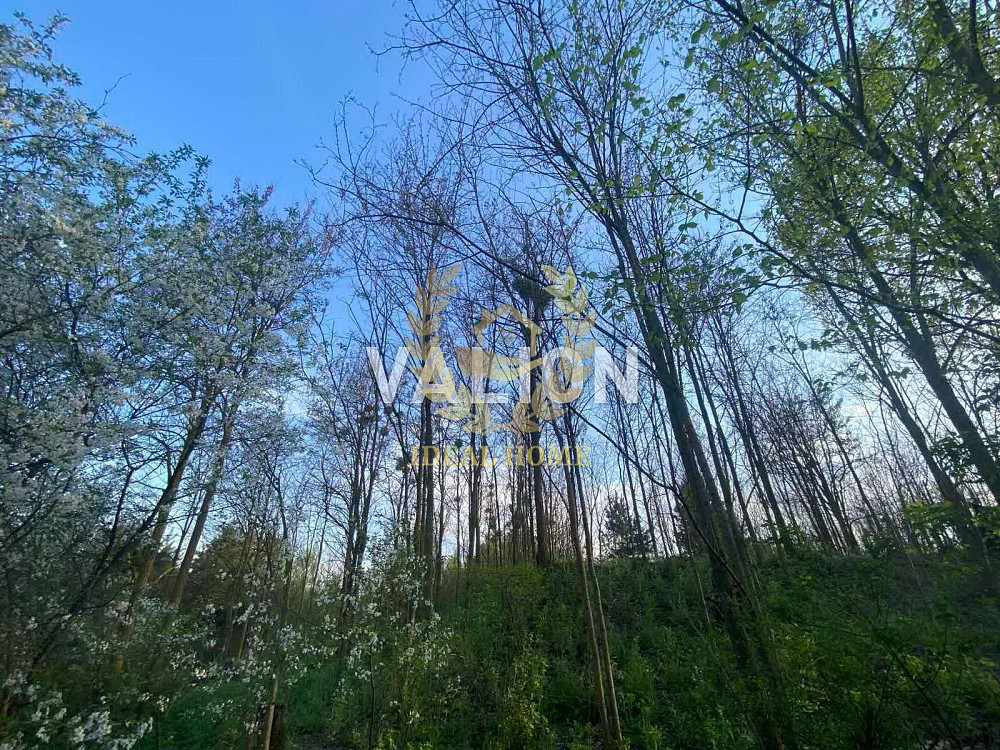 Продаж будинку Віта-Поштова 18 км від Києва  - фото 5