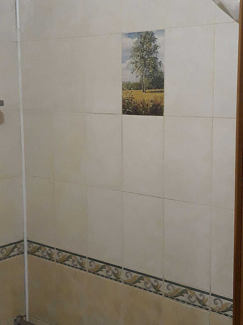 Продаж Квартира 3-кімнатна, 2/9 поверх на Коласа Якуба вул., д. 17 Київ - фото 4