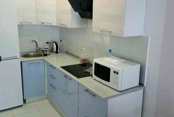 Оренда Квартира 2-кімнатна, 14/24 поверх на вул. Парково-Сирецька, 4-В Киев