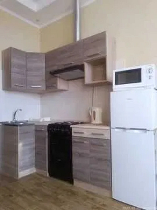 Оренда Квартира 1-кімнатна, 5/18 поверх на Светлицкого, 35 Киев - изображение 6