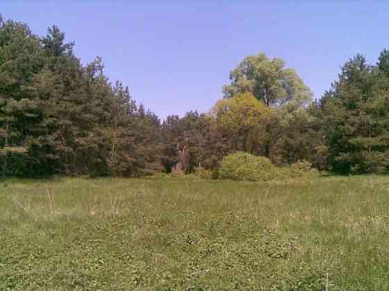 Продаж земельної ділянки 25 соток 