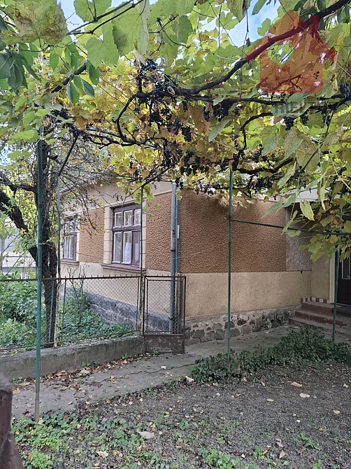 Продаж будинку! Uzhhorod - photo 2