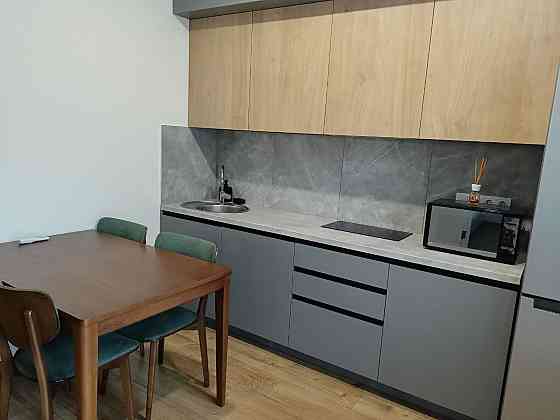 Оренда Квартира 1-кімнатна, 16/24 поверх на улица Ревуцкого, д.40 Киев