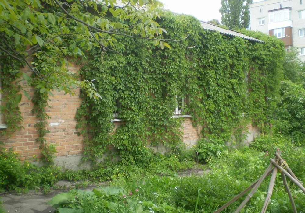 Продаж Квартира 4-кімнатна, 1/1 поверх на вул. Київська Житомир - фото 4