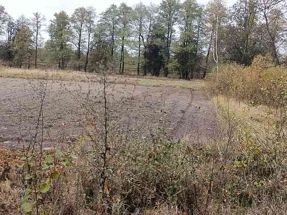 Продаж земельної ділянки 67 соток на С. Вигода Житомир