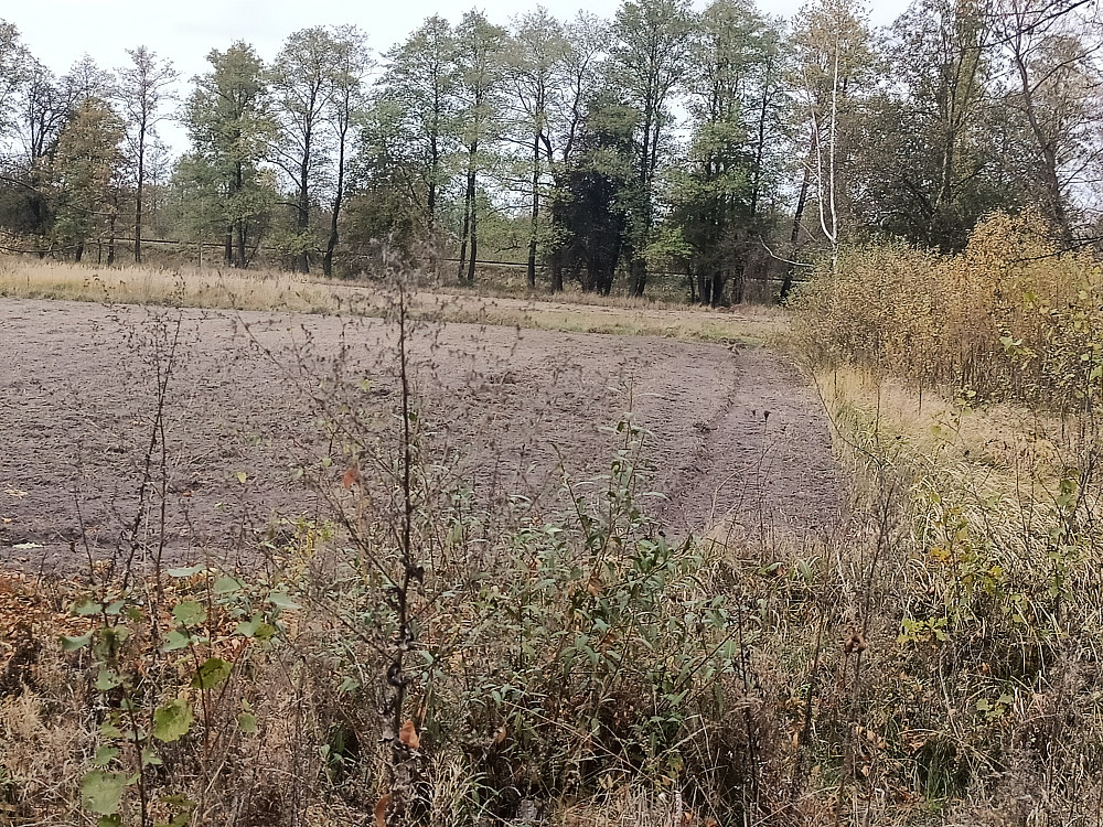 Продаж земельної ділянки 67 соток на С. Вигода Житомир - изображение 1