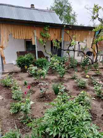 Продам дом в Светлом — уютный домик 45 кв.м на главной улице Світле