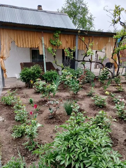 Продам дом в Светлом — уютный домик 45 кв.м на главной улице Svitle - photo 2