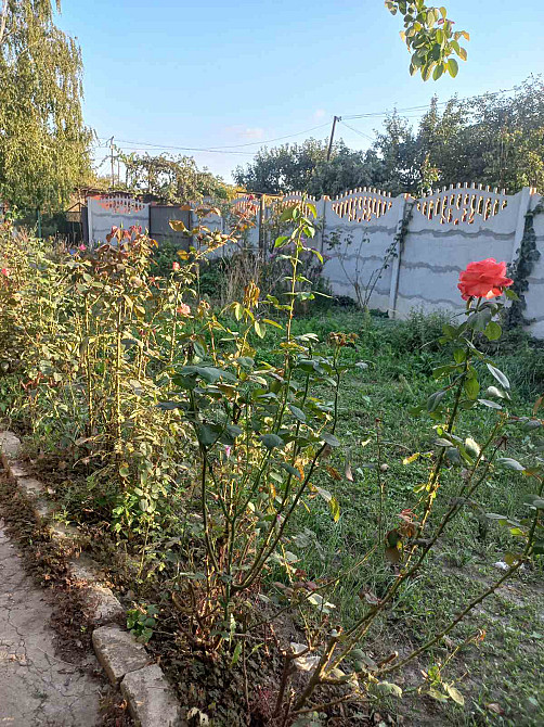 Продам квартиру на земле в Нерубайском Нерубайське - фото 16