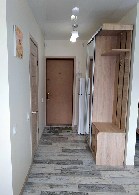 Оренда Квартира 1-кімнатна, 9/9 поверх на Білоруська, 28А Киев - изображение 4