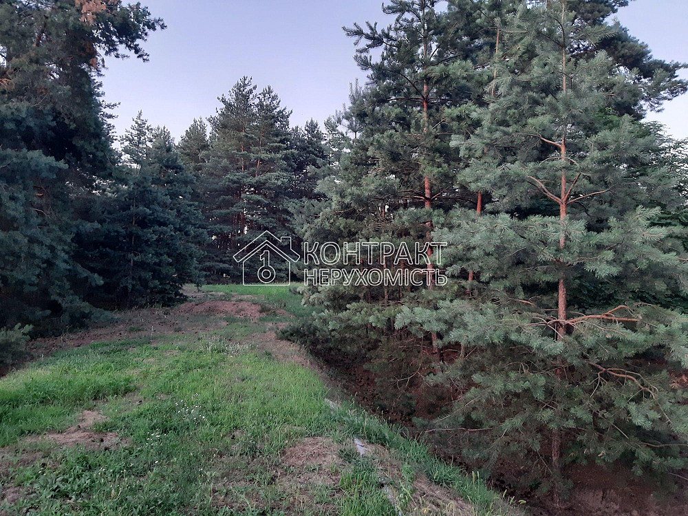 Продаж Будинок 1-кімнатний  - photo 5