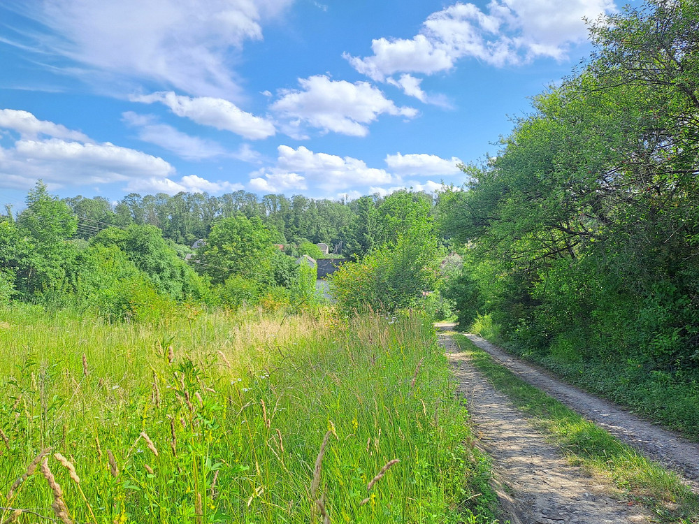 Продаж земельної ділянки 11 соток Pidhorodne - photo 4