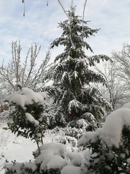 Продається будинок з ексклюзивною земельною ділянкою в центрі міста. Кропивницький - фото 17