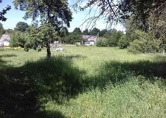 Продаж земельної ділянки 48 соток на Корчак Zhytomyr