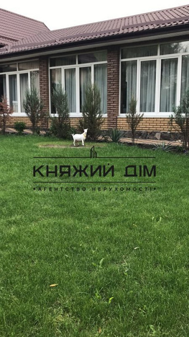 Оренда Квартира 1-кімнатна, 1/2 поверх на Пушкина ул. Kiev - photo 5