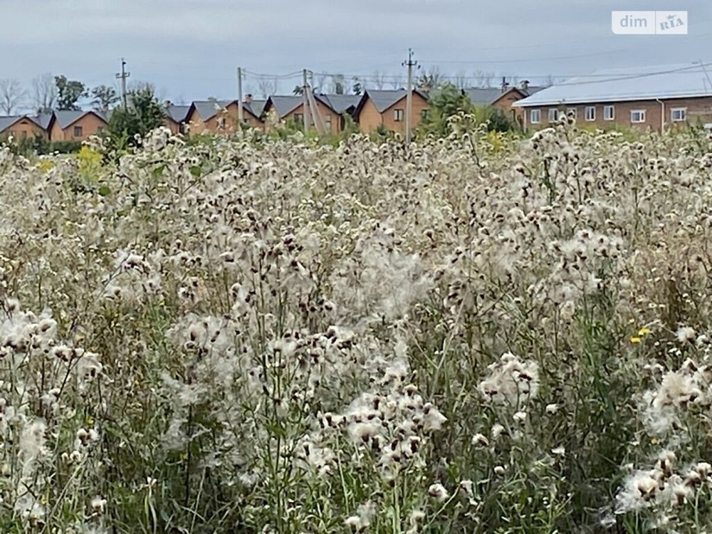 Продаж земельної ділянки 70 соток Vinnytsya - photo 2