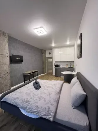 Оренда Квартира 1-кімнатна, 7/22 поверх на Левка Лук #700;яненка, 21/19 Kiev