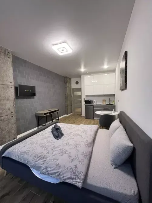 Оренда Квартира 1-кімнатна, 7/22 поверх на Левка Лук #700;яненка, 21/19 Kiev - photo 1